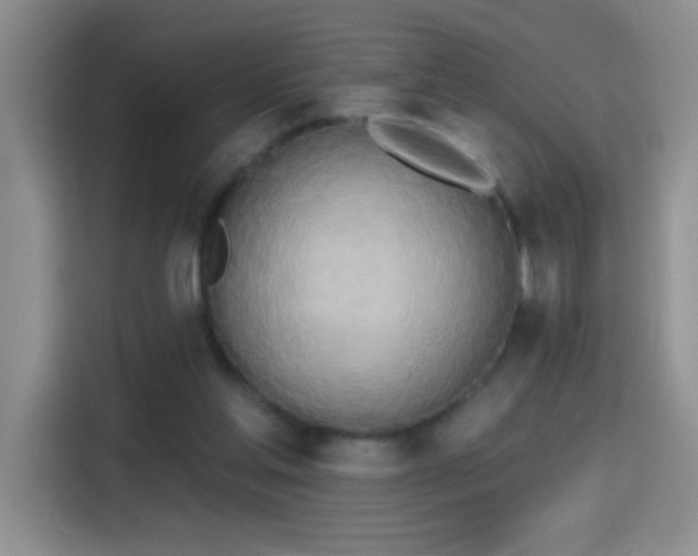 X0000115420205200911101638
