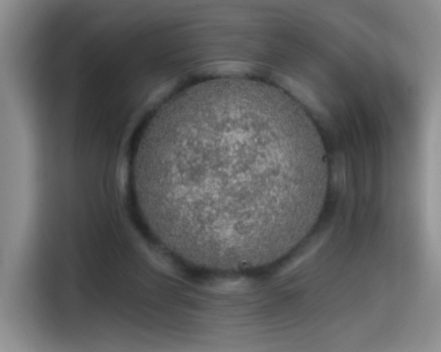 X0000115420206200911101638
