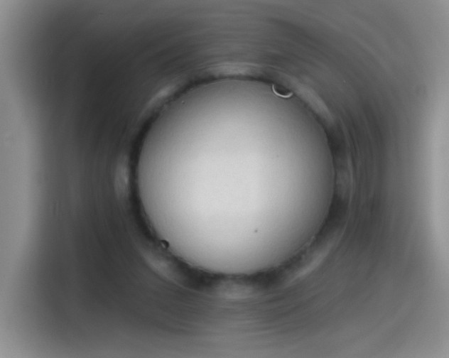 X0000115420207200911101638