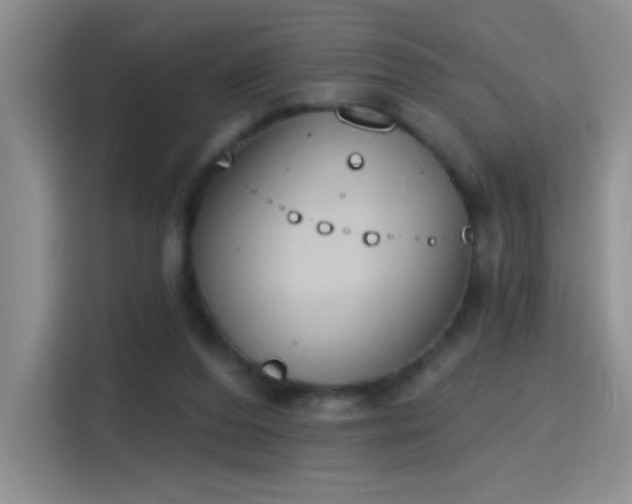 X0000115420208200911101638
