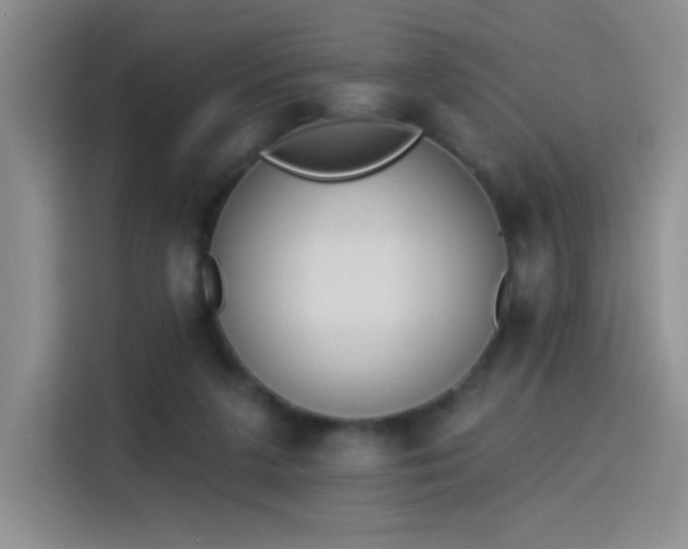 X0000115420211200911101638