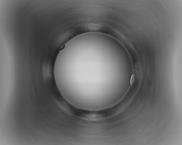 X0000115420212200911101638