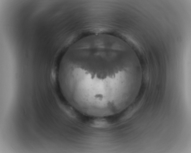 X0000115420214200911101638