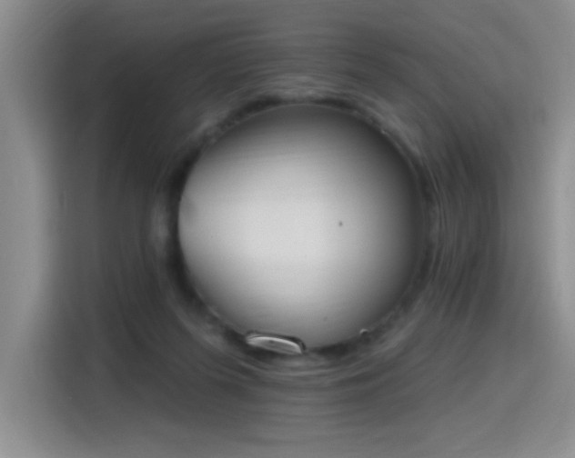 X0000115420215200911101638