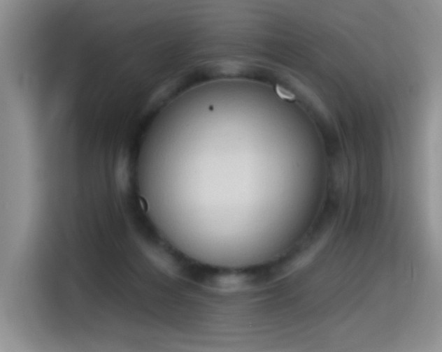 X0000115420216200911101638