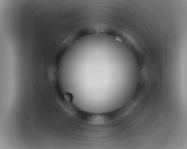 X0000115420218200911101638