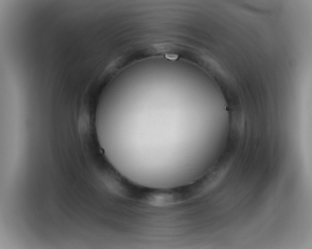 X0000115420220200911101638
