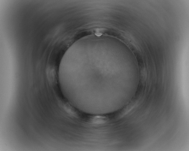 X0000115420222200911101638