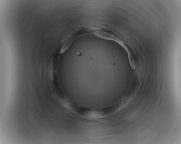X0000115420223200911101638