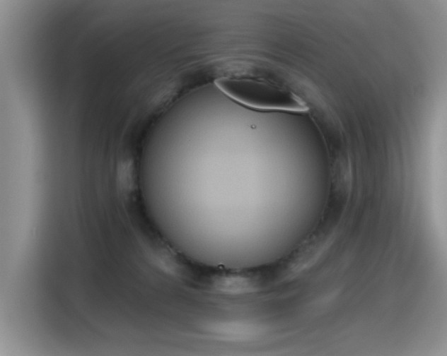 X0000115420224200911101638