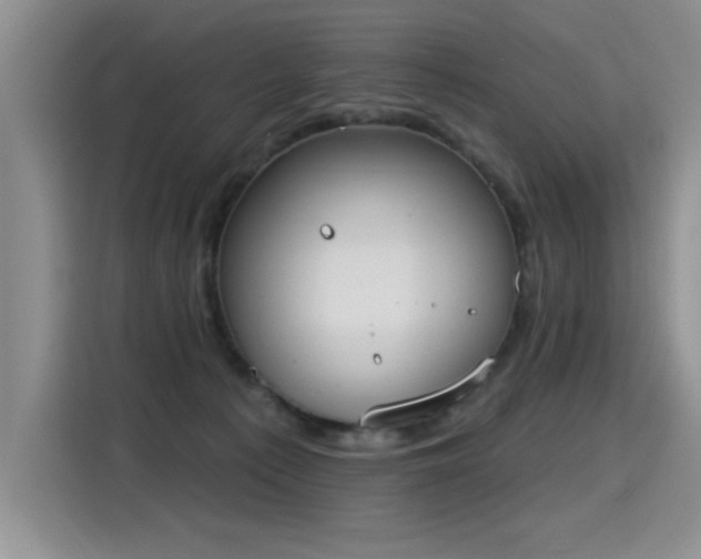 X0000115420225200911101638