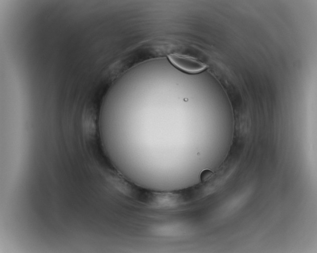 X0000115420226200911101638