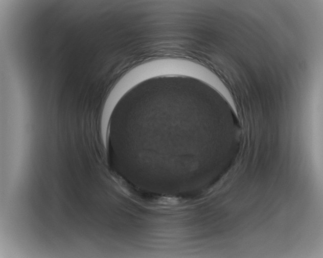 X0000115420227200911101638