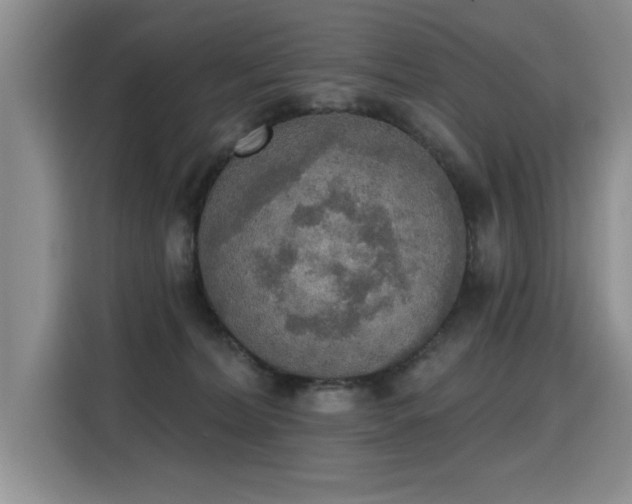 X0000115420228200911101638