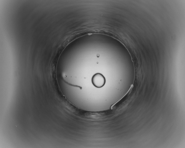 X0000115420229200911101638