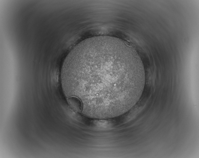 X0000115420230200911101638
