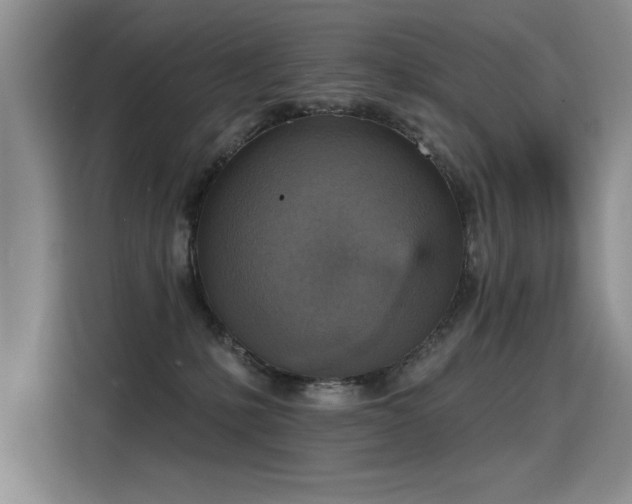 X0000115420231200911101638
