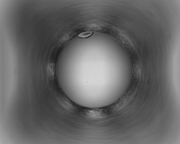 X0000115420232200911101638