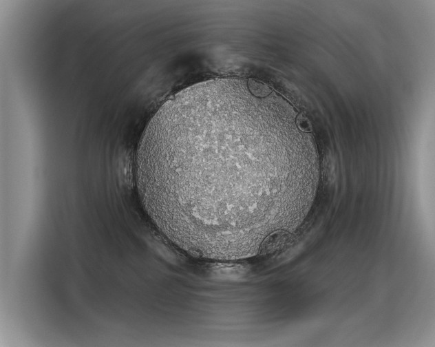 X0000115420234200911101638