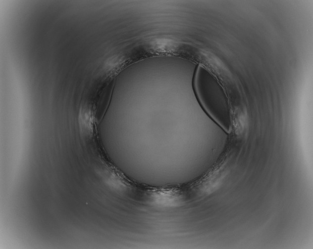 X0000115420235200911101638