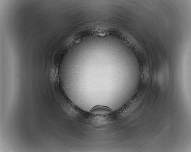 X0000115420236200911101638