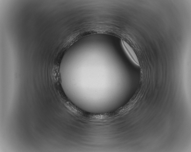 X0000115420237200911101638