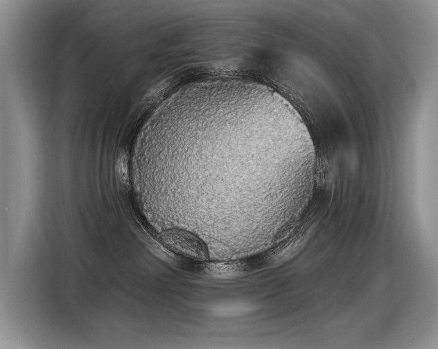 X0000115420238200911101638