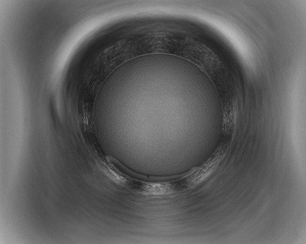 X0000115420239200911101638