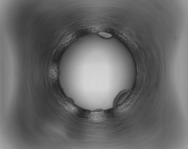 X0000115420240200911101638