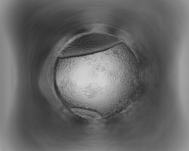 X0000115420241200911101637