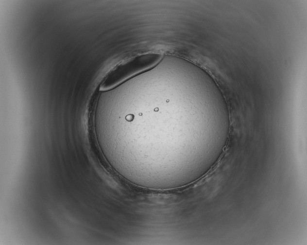 X0000115420242200911101637