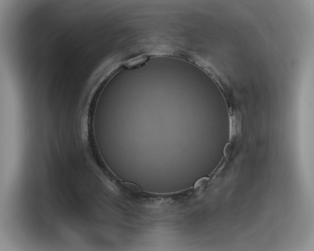 X0000115420243200911101637