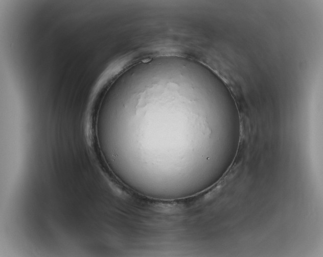 X0000115420245200911101637