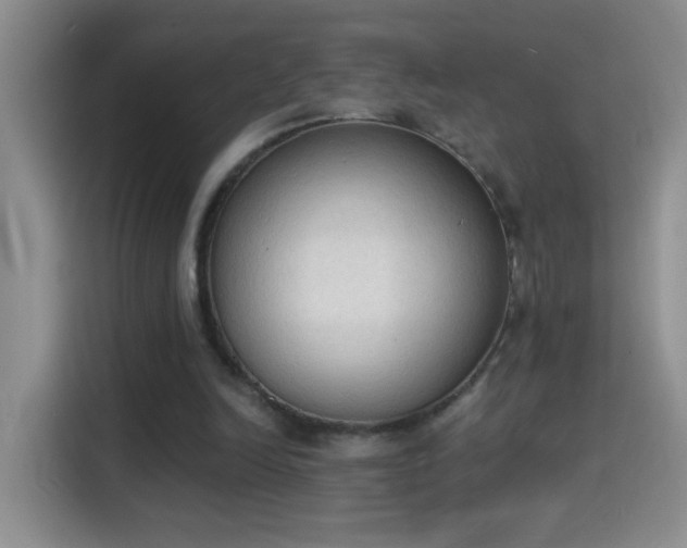 X0000115420246200911101637