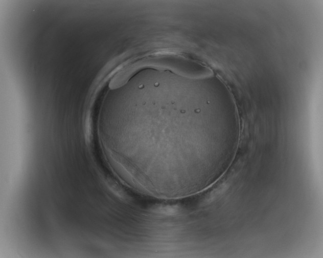X0000115420247200911101637