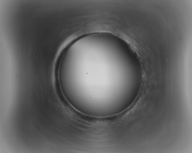 X0000115420248200911101637