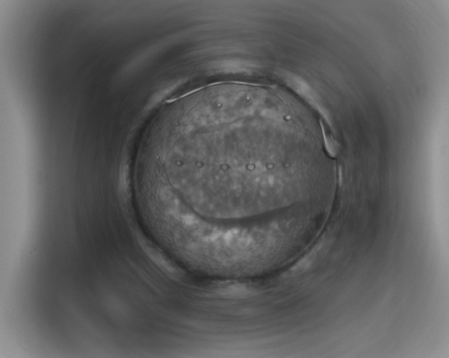 X0000115420249200911101637