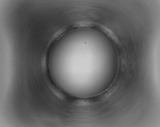 X0000115420250200911101637