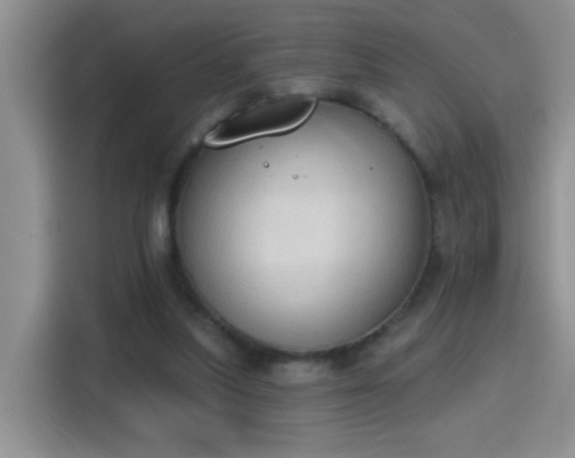 X0000115420251200911101637