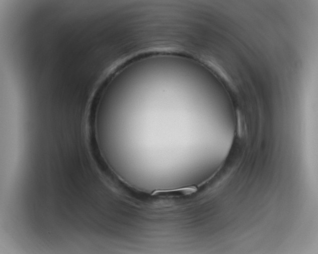 X0000115420252200911101637