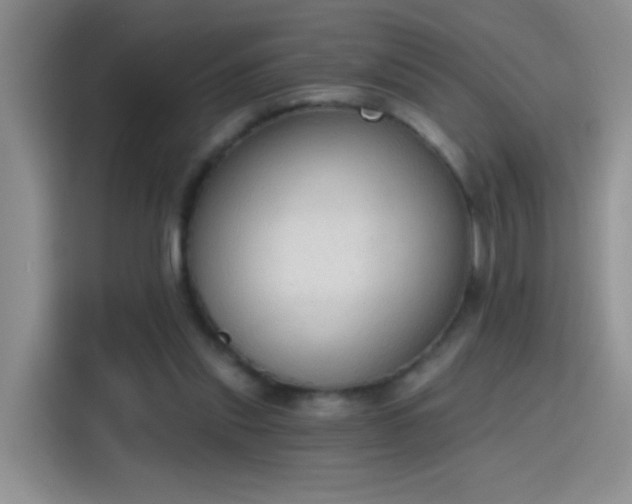 X0000115420253200911101637