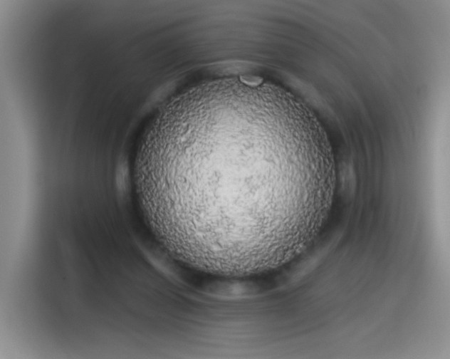 X0000115420254200911101637