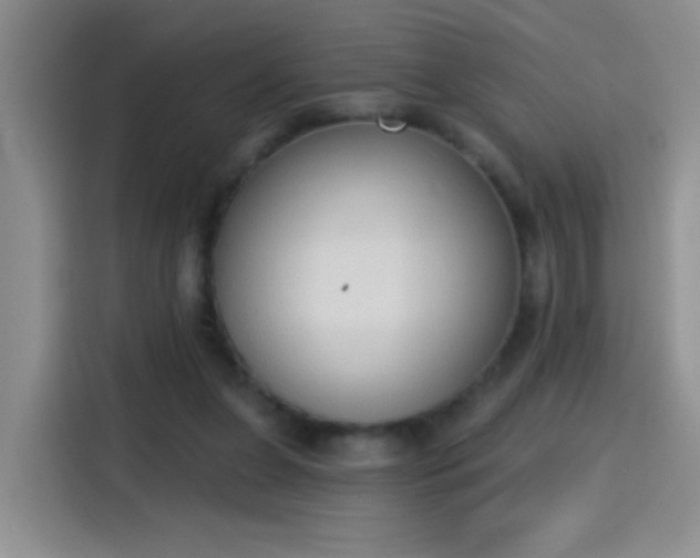 X0000115420255200911101637