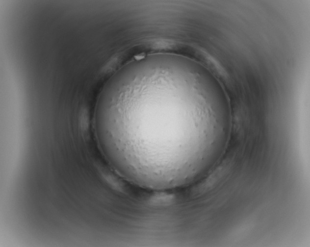 X0000115420257200911101637