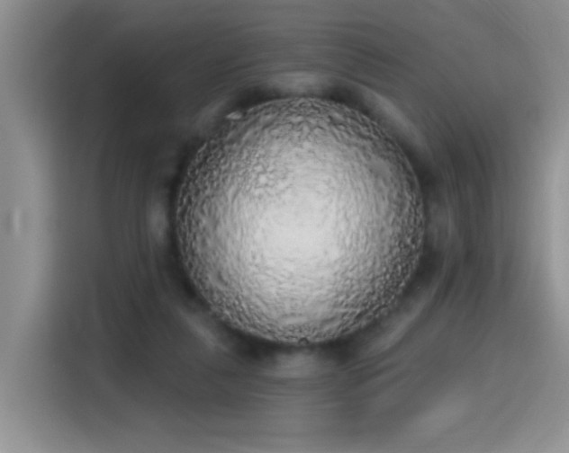 X0000115420259200911101637