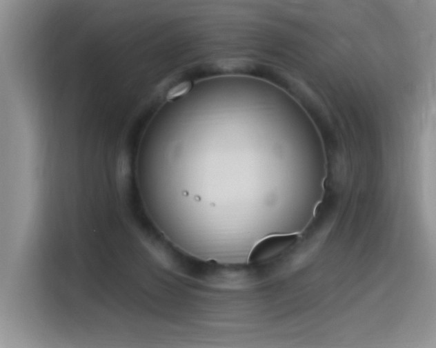 X0000115420260200911101637