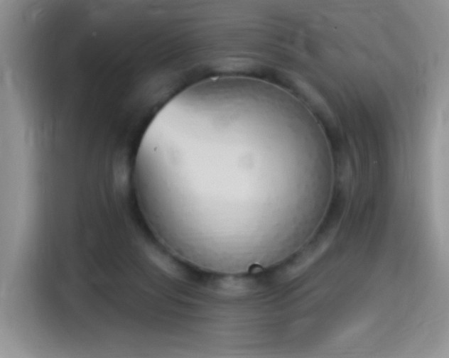 X0000115420261200911101637