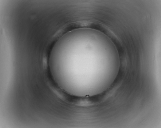 X0000115420262200911101637