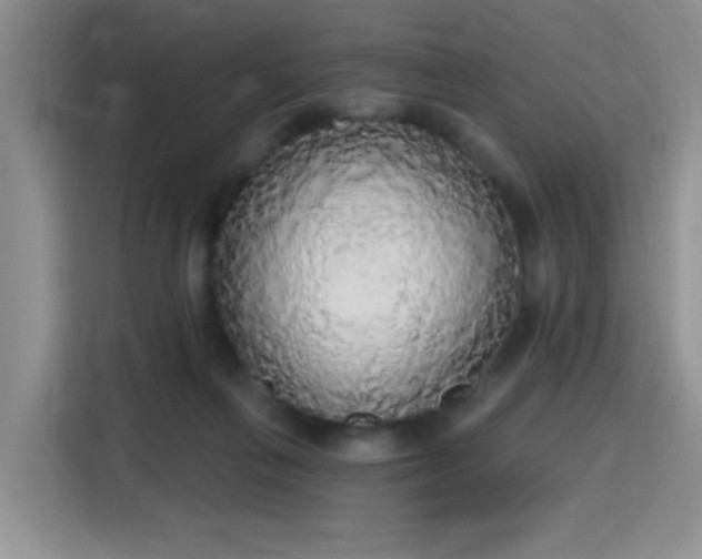 X0000115420263200911101637