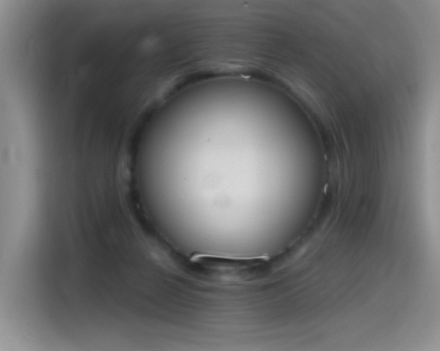 X0000115420264200911101637